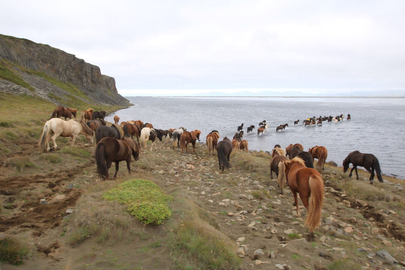 Fjerde ridedag på Island