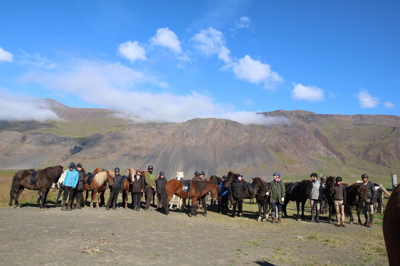 Femte og sidste ridedag på Island